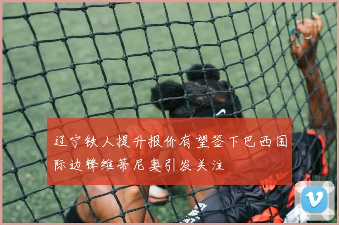 辽宁铁人提升报价有望签下巴西国际边锋维蒂尼奥引发关注