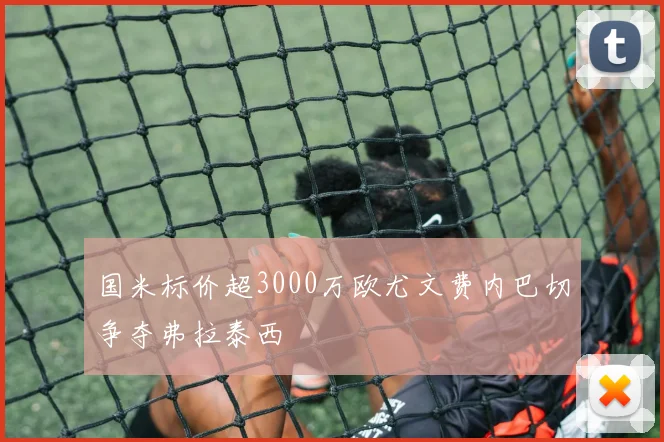 国米标价超3000万欧尤文费内巴切争夺弗拉泰西