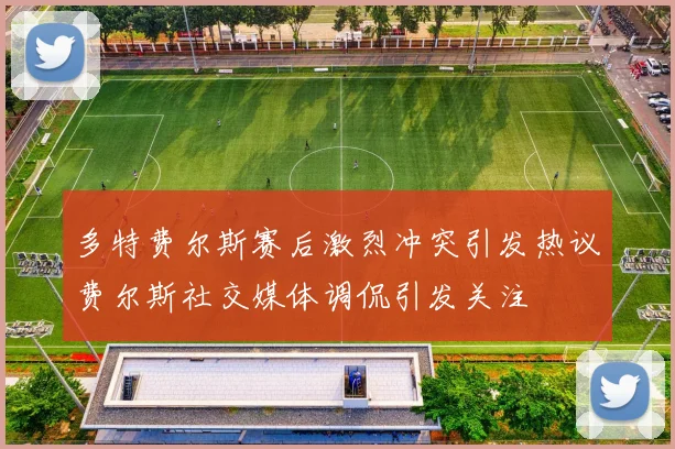 多特费尔斯赛后激烈冲突引发热议费尔斯社交媒体调侃引发关注