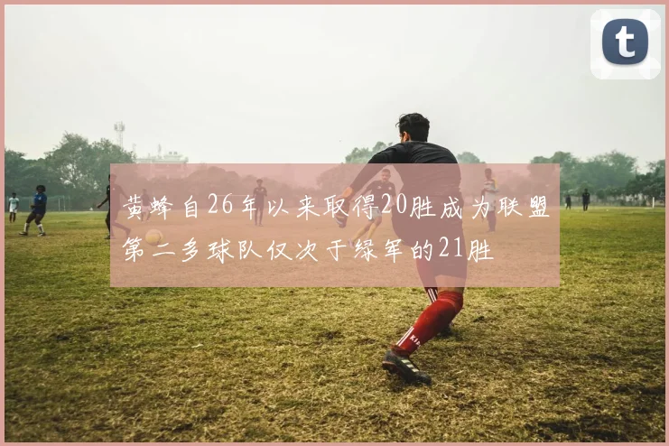 黄蜂自26年以来取得20胜成为联盟第二多球队仅次于绿军的21胜